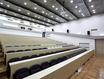 New Vision University (NVU), Tbilisi – Georgia - Image 6