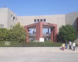 Indian Institute of Ayurved Research & Hospital, Opp. Hill View Club, Kalawad Road, 50 ft Ishawariya Ring Road,Rajkot-360110, Gujarat