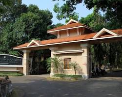 Mannam Ayurveda Co-Operative Medical College, MSM P.O. Pandalam, Distt. Pathanamthitta-689501, Kerala